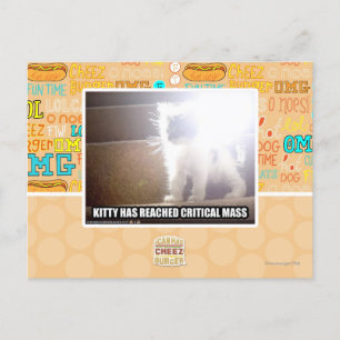 Carte Postale Masse critique Kitty