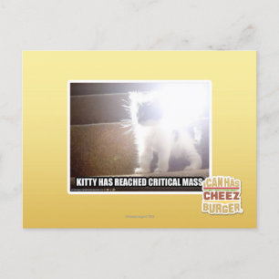 Carte Postale Masse critique Kitty