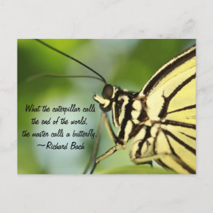 Carte Postale Master Butterfly Photo et devis