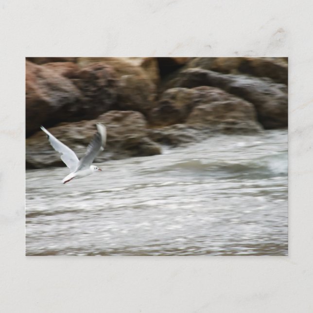 Carte postale Master Vent (Devant)