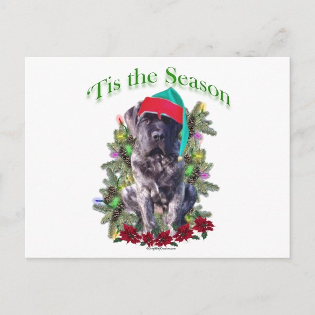 Carte Postale Mastiff 3 "Tis (Devant)