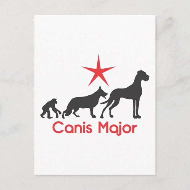 Carte Postale Mastiff Allemand Canis Major (Devant)