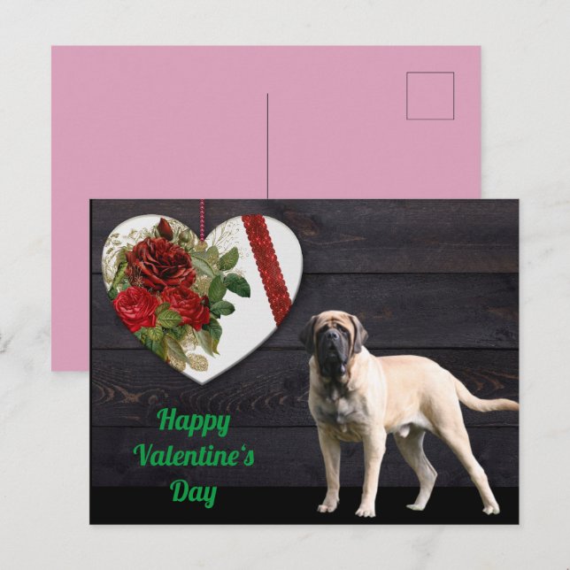 Carte postale Mastiff anglais Saint-Valentin  (Devant / Derrière)