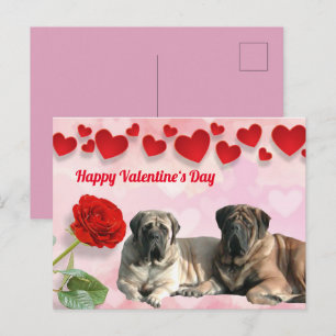 Carte postale Mastiff anglais Saint-Valentin 
