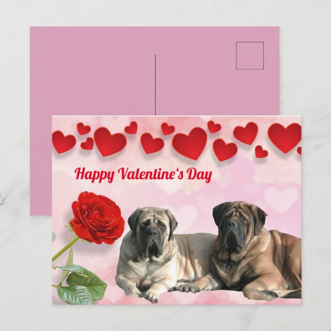 Carte postale Mastiff anglais Saint-Valentin  (Devant / Derrière)
