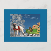 Mastiff anglais u Bouledogue français Joyeux Noël