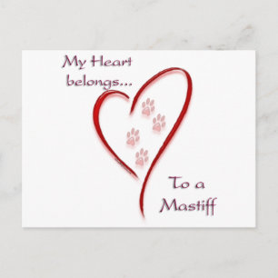 Carte Postale Mastiff Coeur Appartient