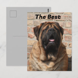 Carte Postale Mastiff dogue anglais fête des pères