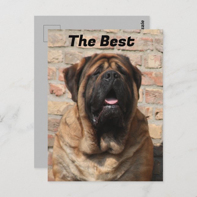 Carte Postale Mastiff dogue anglais fête des pères (Devant / Derrière)
