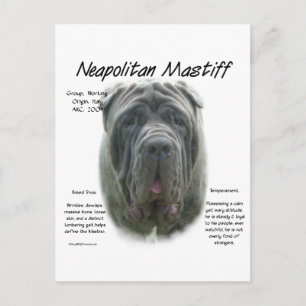 Carte Postale Mastiff napolitain (gris)