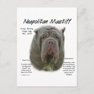 Carte Postale Mastiff napolitain (tawny)