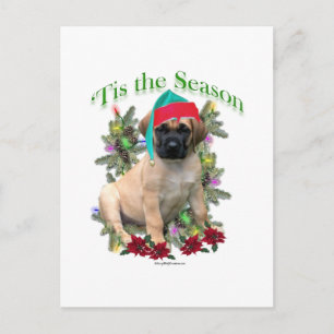Carte Postale Mastiff Tis