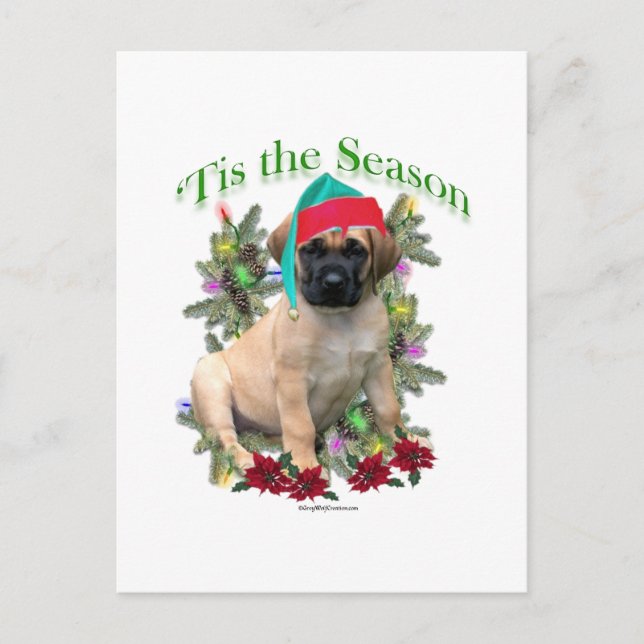 Carte Postale Mastiff Tis (Devant)