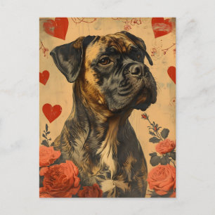Carte Postale Mastiff Vintage Saint-Valentin