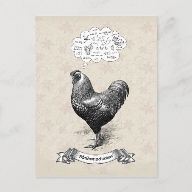 Carte Postale Mathemachicken Funny Math Poulet de poulet Plaisan (Devant)