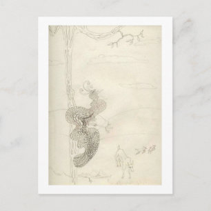 Carte Postale Matilda L'Oiseau Glorieux Du Paradis