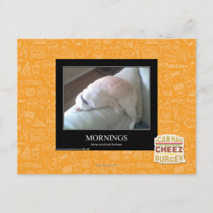 Carte Postale Matin