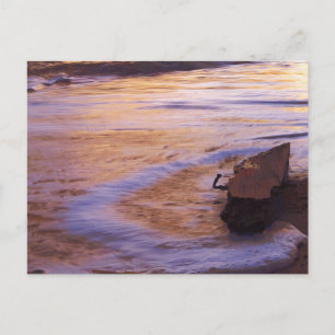 Carte postale Matin Adrift