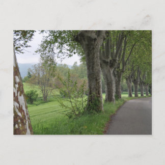 Carte Postale Matin agité en Provence