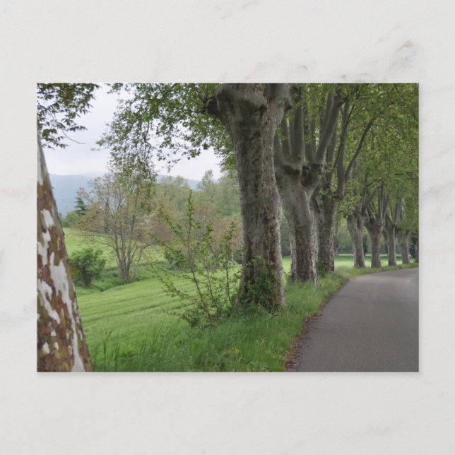 Carte Postale Matin agité en Provence (Devant)