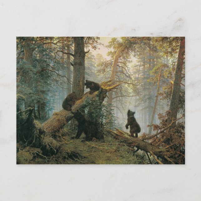 Carte Postale Matin dans une forêt de pins (Devant)