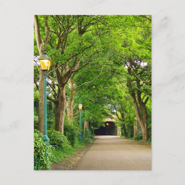 Carte Postale Matin d'été (Devant)