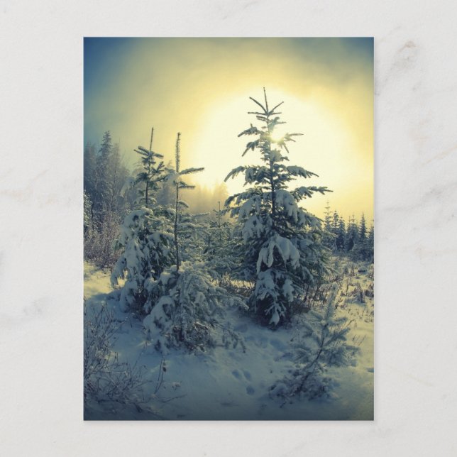 Carte Postale Matin d'hiver (Devant)