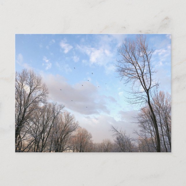 Carte Postale Matin d'hiver I (Devant)