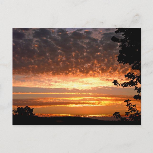 Carte Postale Matin d'or (Devant)