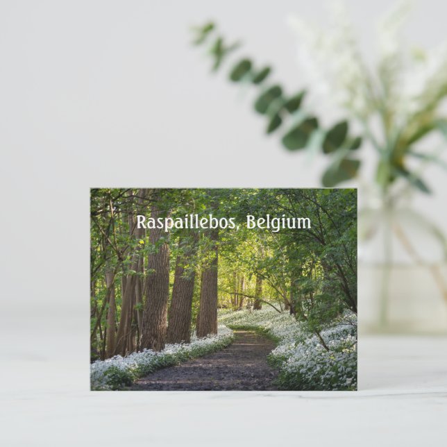 Carte Postale Matin du printemps à Raspaillebos, Belgique (Debout devant)