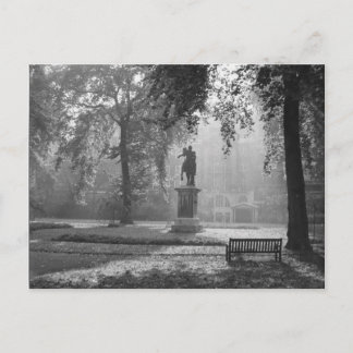 Carte Postale Matin Fou Dans Le Carré