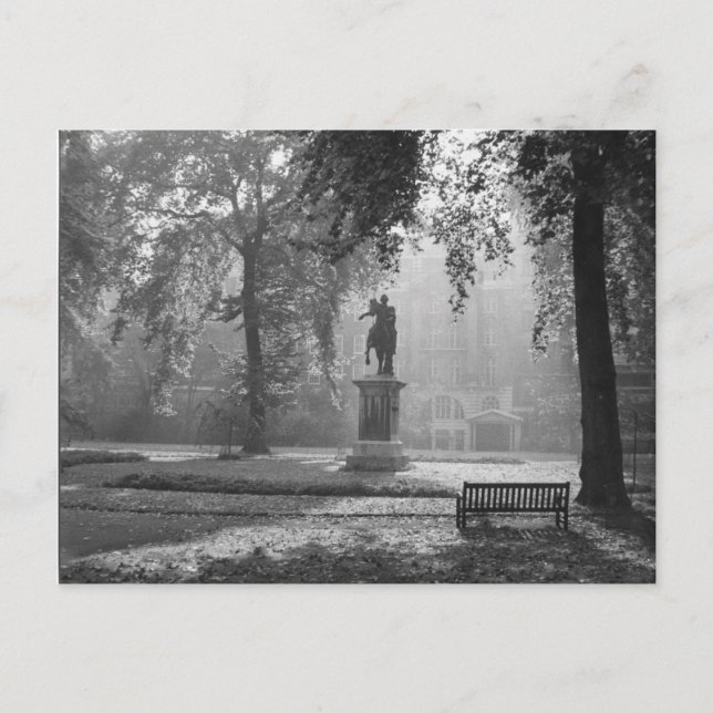 Carte Postale Matin Fou Dans Le Carré (Devant)