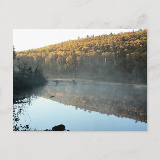 Carte postale Matin Pine de trèfle (Devant)