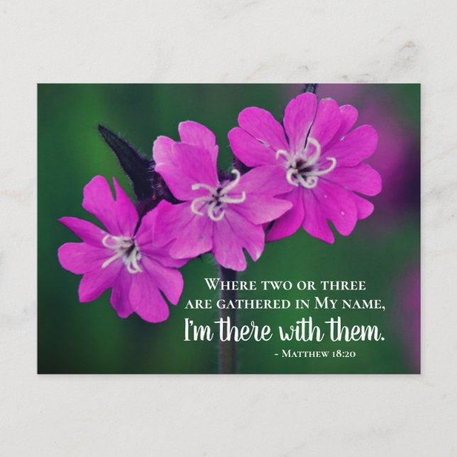 Carte Postale Matthieu 18:20 Deux ou trois se réunissent en mon  (Devant)
