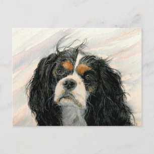 Carte Postale Mattie le roi Charles Cavalier Spaniel