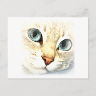 Carte Postale MatYES