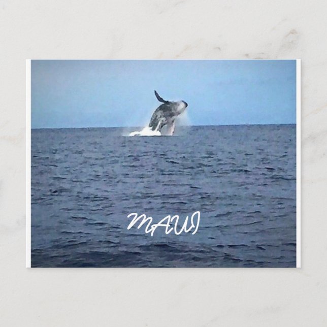 Carte Postale Maui (Devant)