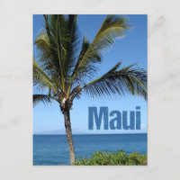Maui Hawaii Beau Océan Palm Tree