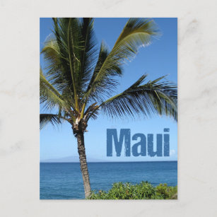 Carte Postale Maui Hawaii Beau Océan Palm Tree