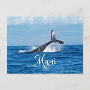 Carte Postale Maui Hawaii Ocean Whale Tail