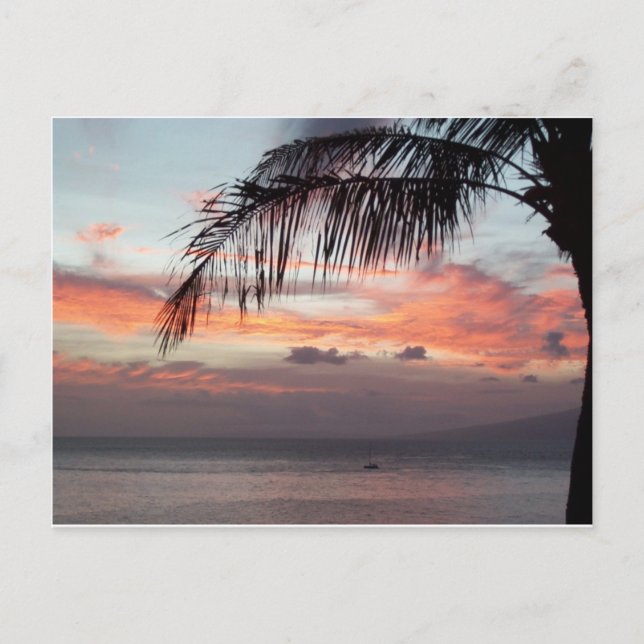 Carte postale Maui Sunset (Devant)