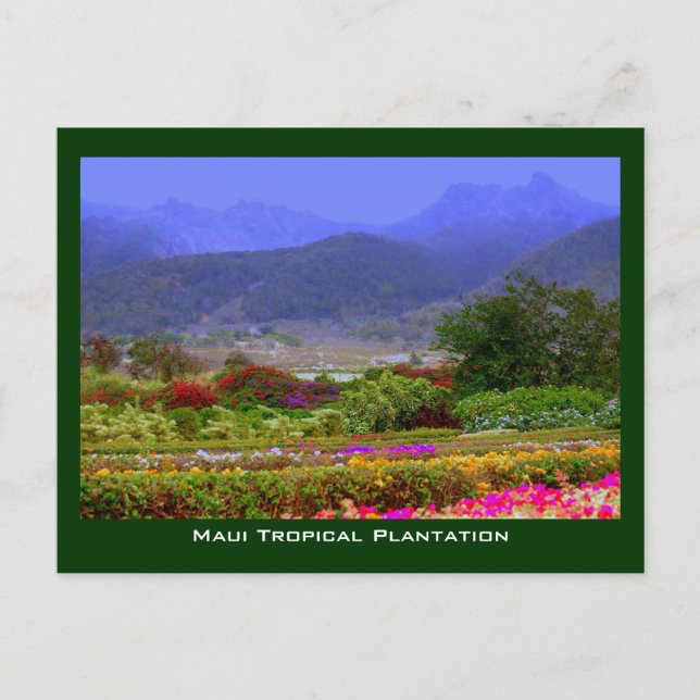 Carte Postale Maui Tropical Plantation West Maui Mountains (Devant)