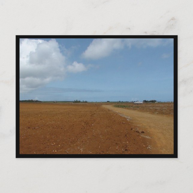 Carte Postale Maurice / Maurice (Devant)