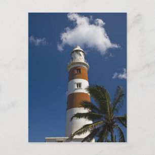 Carte Postale Maurice, Ouest de l'Ile Maurice, Belle Vue, Albion