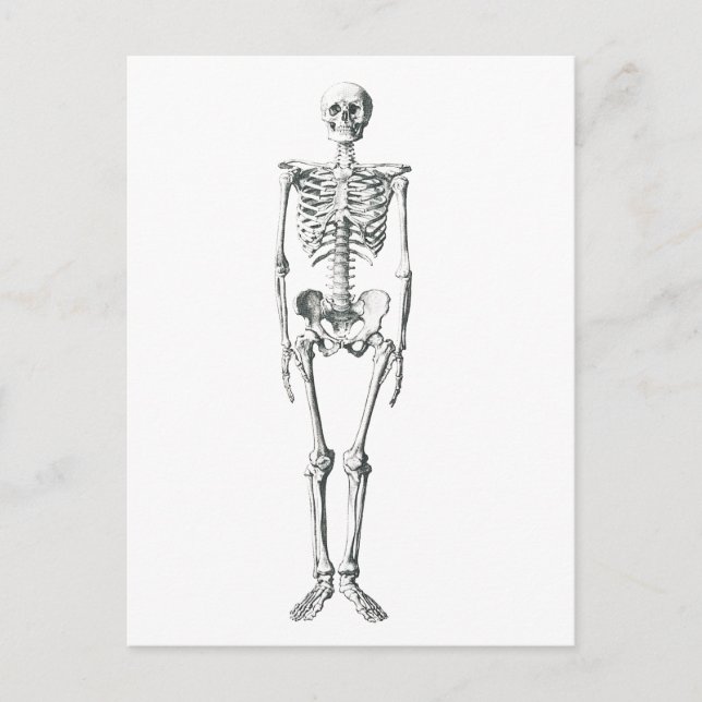 Carte Postale Mauvais à l'os (Devant)