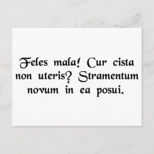 Carte Postale Mauvais chaton ! Pourquoi n'utilisez-vous pas la b