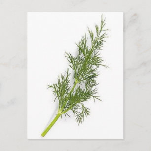 Carte Postale Mauvaise herbe