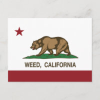 Mauvaise herbe drapeau de la Californie