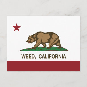 Carte Postale Mauvaise herbe drapeau de la Californie