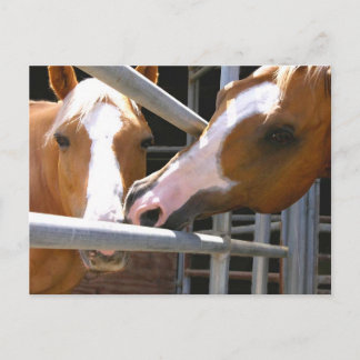 Carte Postale Max et son fils Leonardo